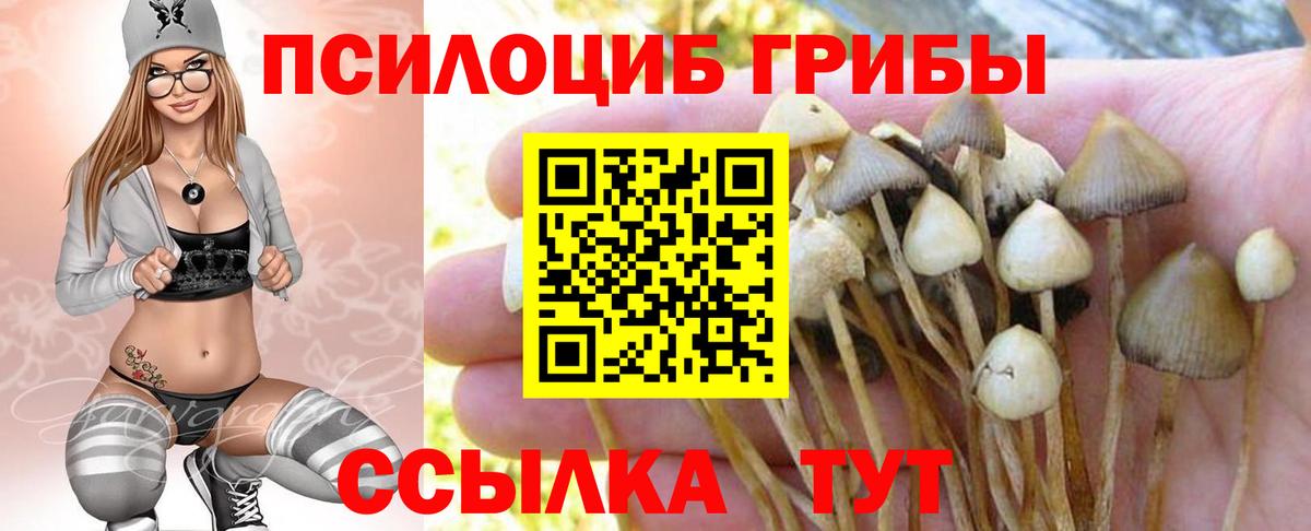 сколько стоит  Псилоцибиновые грибы мицелий  Псилоцибиновые грибы прущие грибы  Вход с VPN  Черногорск 